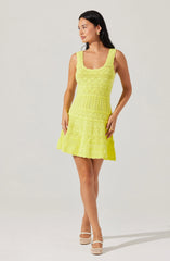 Shereena Pointelle Sweater Mini Dress